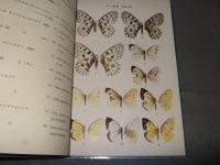 原色朝鮮の蝶類