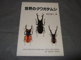 世界のクワガタムシ