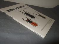 世界のクワガタムシ