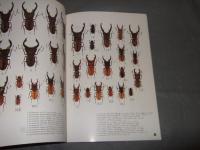 世界のクワガタムシ