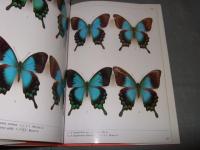 コレクションシリーズ・アキリデス