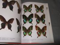 コレクションシリーズ・アキリデス