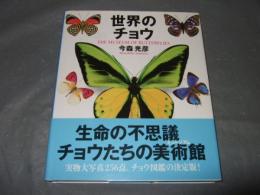 世界のチョウ