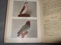 原色鳥類図譜