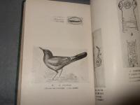 動物界の現象と人生