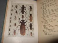 原色甲虫図譜