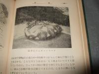 両棲爬虫学習図鑑