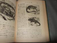両棲爬虫学習図鑑