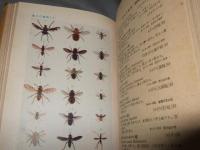 原色千種昆虫図譜