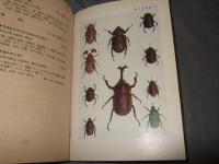 原色千種昆虫図譜