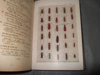 原色千種続昆虫図譜　