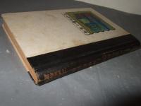 海岸の動物研究