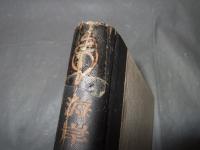 海岸の動物研究