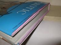 The New Erotic Photography (Taschen 25th Anniversary) (German, English and French Edition)