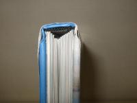 Crazy Sexy Hollywood （クレイジー・セクシー・ハリウッド）