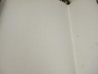 ヘルムート・ニュートン写真集 : BIG NUDES