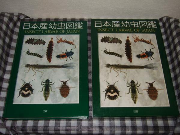 日本産幼虫図鑑 サイエンス - 生物学