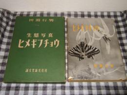 ヒメギフチョウ : 生態写真