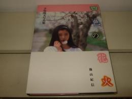 四色の花火 : 手塚理美写真集