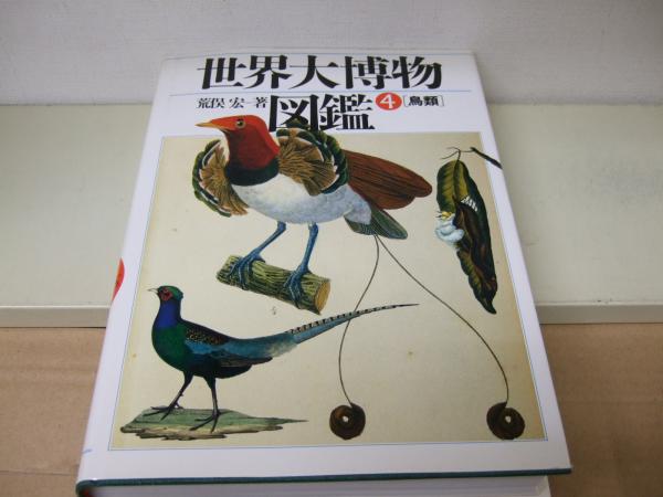 京都府レッドデータブック2002／京都府ホームページ