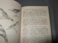 野鳥野獣500種 : 携帯図鑑