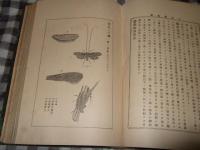 日本害蟲篇 : 完