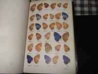 Butterflies of West Malaysia and Singapore　１・２
