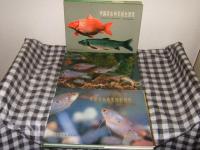 中国淡水魚類原色図集　第１～３集