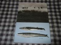 くじらと捕鯨の物語 : 相次ぐ自然災害と異変 : 豊穣の海は今…、地球の未来は… : 戦後の30年を捕鯨の世界で懸命に生きた一老人の手記