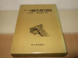 鍼灸解剖図 : カラー版