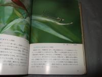 岡山の昆虫 : 原色図鑑