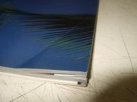 誘・わ・れ・て : 速水典子写真集