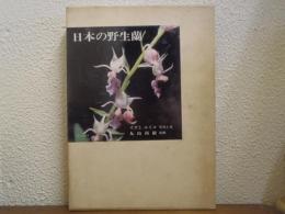 日本の野生蘭