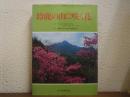 鈴鹿の山に咲く花