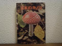 日本のキノコ : カラー