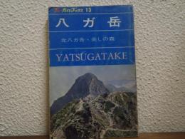 八ガ岳 : 北八ヶ岳・美しの森