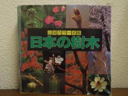 日本の樹木