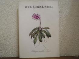 花の絵本 : 画文集