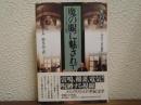 魔の眼に魅されて : メスメリズムと文学の研究