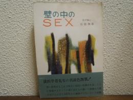 壁の中のSEX