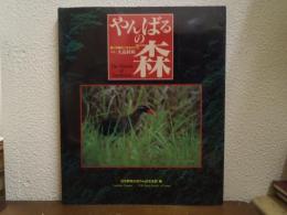 やんばるの森 : 輝く沖縄のいきものたち