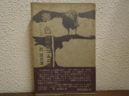 褪色 : 異邦のコムニスト