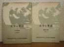 文学と革命Ⅰ・Ⅱ　２冊揃い（現代文学・その前夜）