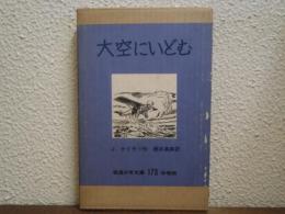大空にいどむ