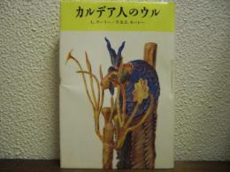 カルデア人のウル