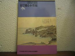目で探る小笠原