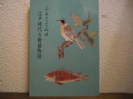 ふるさと山口・江戸時代の動植物図