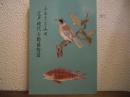 ふるさと山口・江戸時代の動植物図