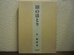 沼のほとり