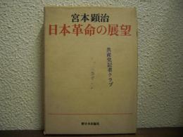 日本革命の展望 : 綱領問題報告論文集